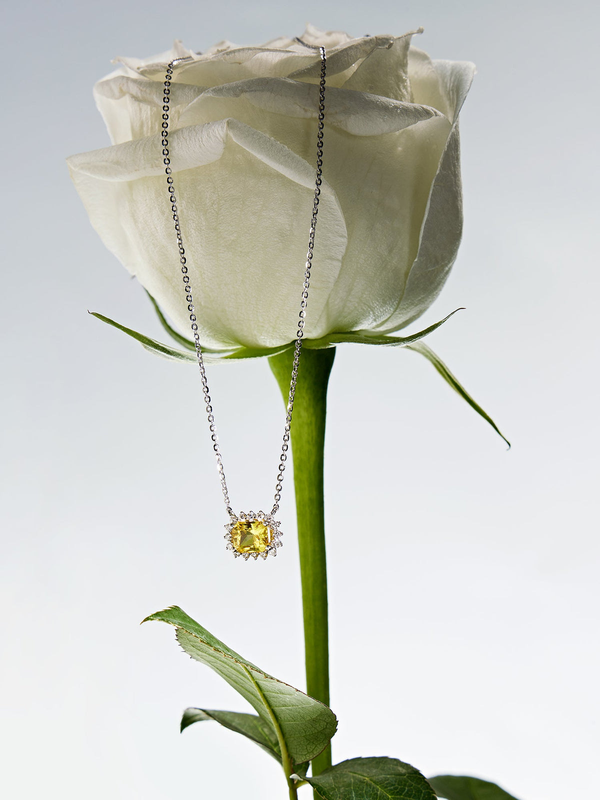 一萬元左右 Fine Jewelry 怎麼選？項鍊、手鍊與珠寶預算指南