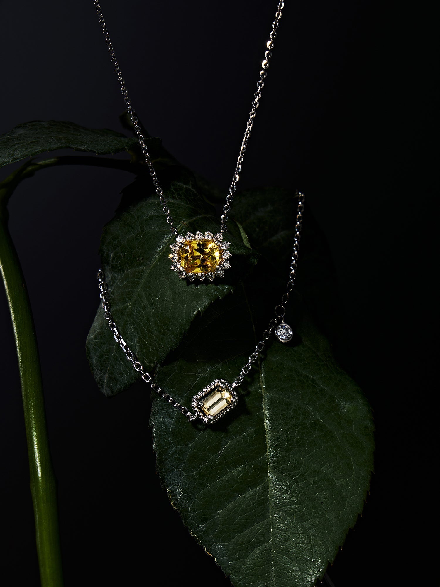 Hope in Light 系列