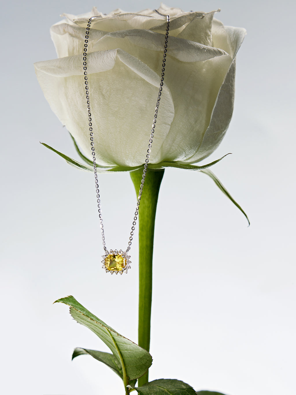 春日初光First Light｜黃色藍寶石項鍊