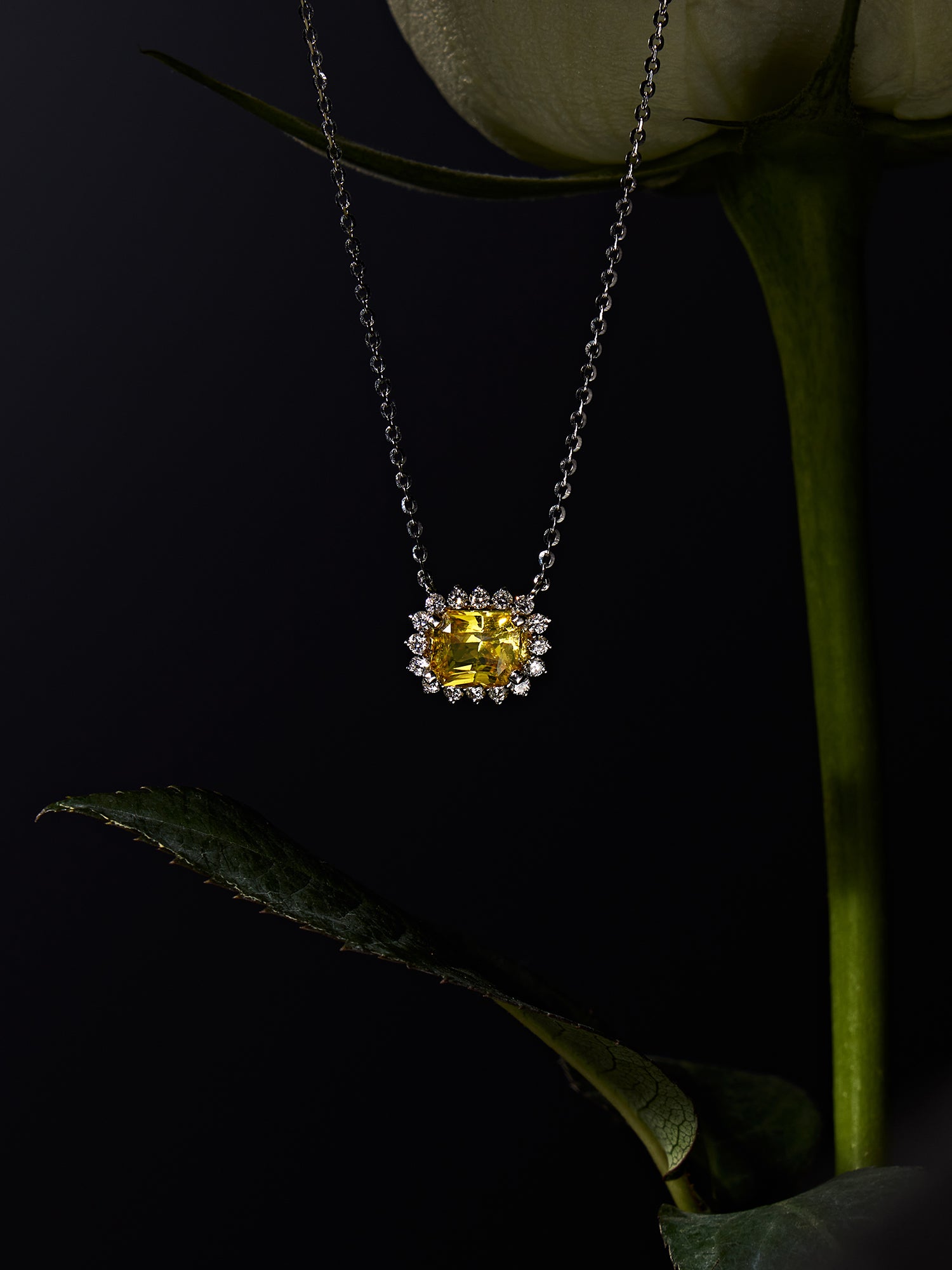 春日初光First Light｜黃色藍寶石項鍊